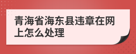 青海省海东县违章在网上怎么处理