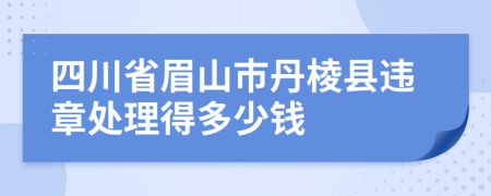 四川省眉山市丹棱县违章处理得多少钱