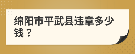 绵阳市平武县违章多少钱？