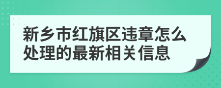 新乡市红旗区违章怎么处理的最新相关信息