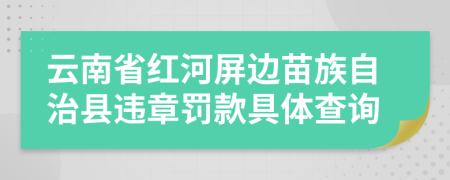 云南省红河屏边苗族自治县违章罚款具体查询