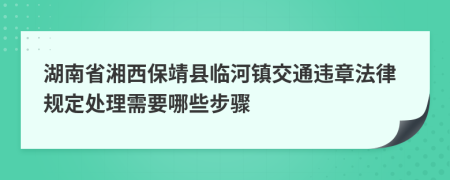 湖南省湘西保靖县临河镇交通违章法律规定处理需要哪些步骤