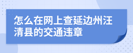 怎么在网上查延边州汪清县的交通违章