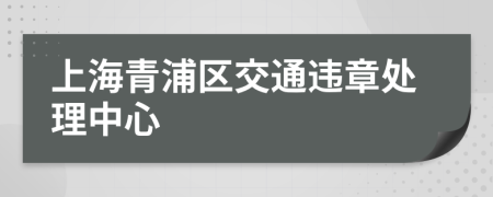 上海青浦区交通违章处理中心