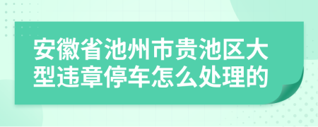 安徽省池州市贵池区大型违章停车怎么处理的