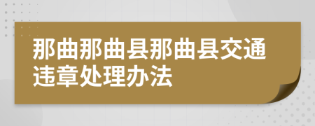 那曲那曲县那曲县交通违章处理办法