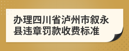 办理四川省泸州市叙永县违章罚款收费标准