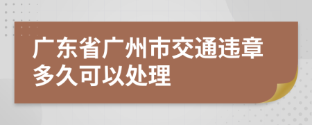 广东省广州市交通违章多久可以处理