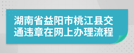 湖南省益阳市桃江县交通违章在网上办理流程