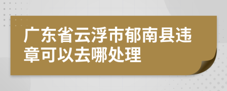 广东省云浮市郁南县违章可以去哪处理