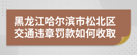 黑龙江哈尔滨市松北区交通违章罚款如何收取