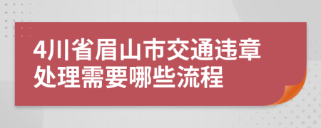 4川省眉山市交通违章处理需要哪些流程