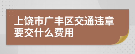 上饶市广丰区交通违章要交什么费用