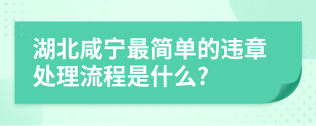 湖北咸宁最简单的违章处理流程是什么?