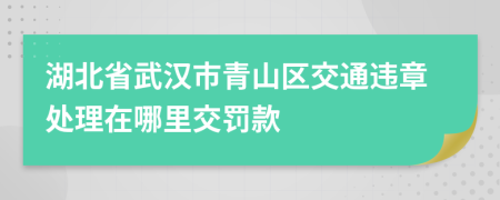 湖北省武汉市青山区交通违章处理在哪里交罚款