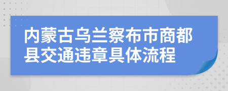 内蒙古乌兰察布市商都县交通违章具体流程