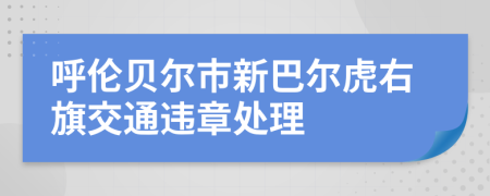 呼伦贝尔市新巴尔虎右旗交通违章处理