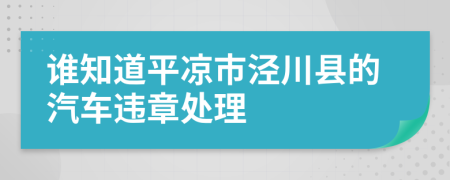 谁知道平凉市泾川县的汽车违章处理