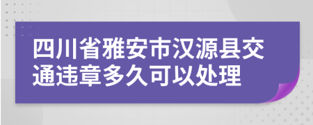 四川省雅安市汉源县交通违章多久可以处理