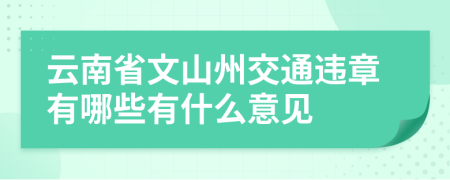 云南省文山州交通违章有哪些有什么意见