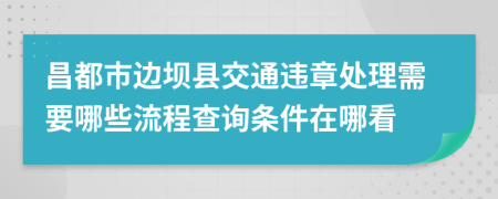 昌都市边坝县交通违章处理需要哪些流程查询条件在哪看