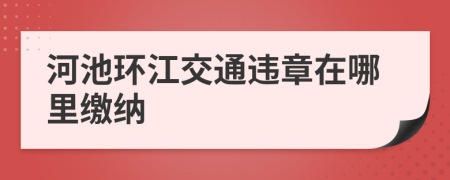 河池环江交通违章在哪里缴纳