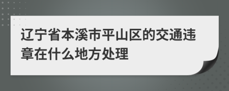 辽宁省本溪市平山区的交通违章在什么地方处理