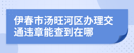 伊春市汤旺河区办理交通违章能查到在哪