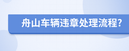 舟山车辆违章处理流程?