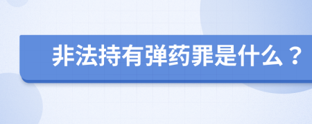 非法持有弹药罪是什么？