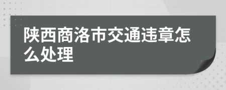 陕西商洛市交通违章怎么处理