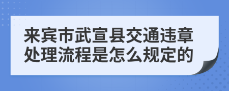 来宾市武宣县交通违章处理流程是怎么规定的