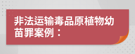 非法运输毒品原植物幼苗罪案例：