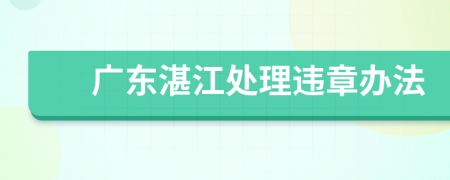 广东湛江处理违章办法