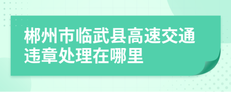 郴州市临武县高速交通违章处理在哪里