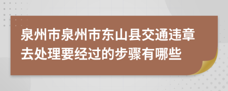 泉州市泉州市东山县交通违章去处理要经过的步骤有哪些