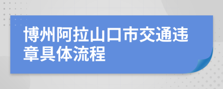 博州阿拉山口市交通违章具体流程