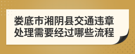 娄底市湘阴县交通违章处理需要经过哪些流程