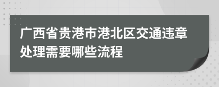 广西省贵港市港北区交通违章处理需要哪些流程