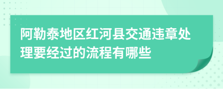 阿勒泰地区红河县交通违章处理要经过的流程有哪些