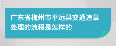 广东省梅州市平远县交通违章处理的流程是怎样的