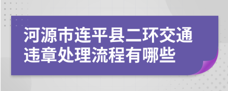 河源市连平县二环交通违章处理流程有哪些