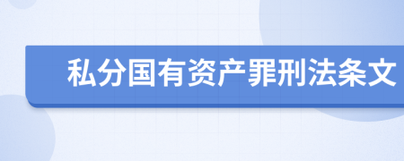 私分国有资产罪刑法条文