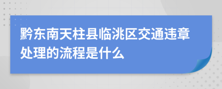 黔东南天柱县临洮区交通违章处理的流程是什么