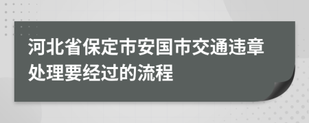 河北省保定市安国市交通违章处理要经过的流程