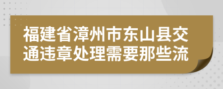 福建省漳州市东山县交通违章处理需要那些流