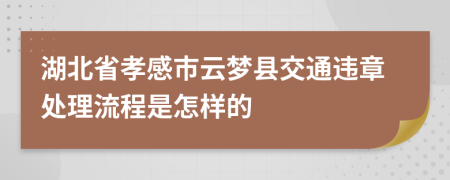湖北省孝感市云梦县交通违章处理流程是怎样的