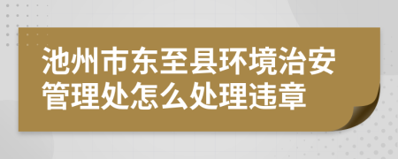 池州市东至县环境治安管理处怎么处理违章