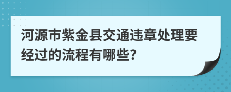 河源市紫金县交通违章处理要经过的流程有哪些?