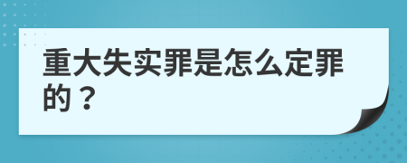 重大失实罪是怎么定罪的？